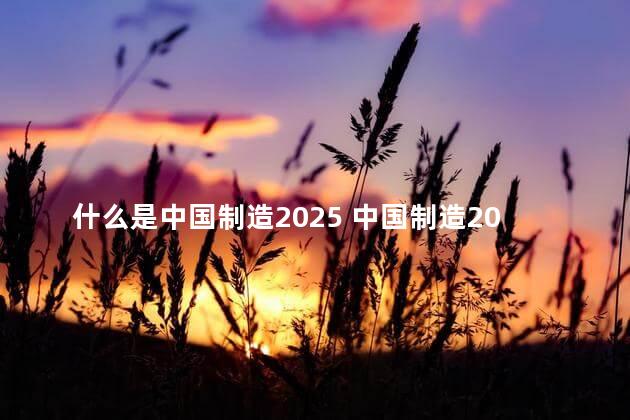 什么是中国制造2025 中国制造2025是